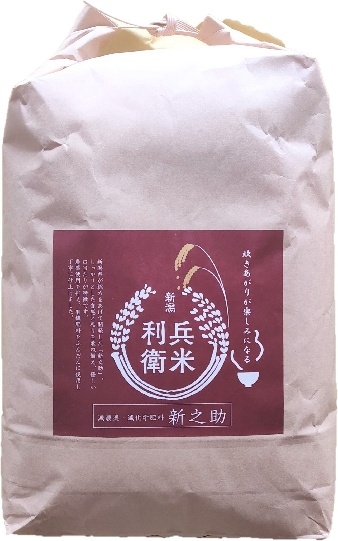 ☆ 令和5年 青森県産 まっしぐら 玄米〈30kg〉 - 米・雑穀・粉類